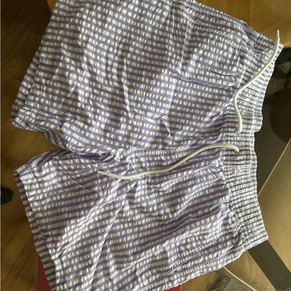 J. Crew Men's Lavender Striped Athletic Shorts